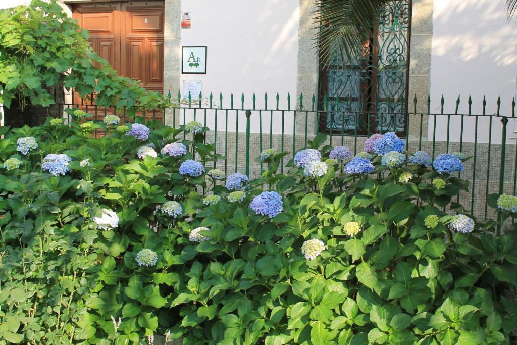 Apartmán Casa Jardin De La Plata Banos De Montemayor Exteriér fotografie